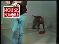 1981_1990\1989.0070k.jpg; 1989.0070; ;